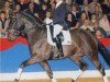 Deckhengst Amidou (Holsteiner, 1999, von Alcatraz)