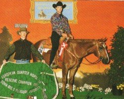 horse Hobby Lucky Invester (Quarter Horse, 1990, from Demand Deposit)