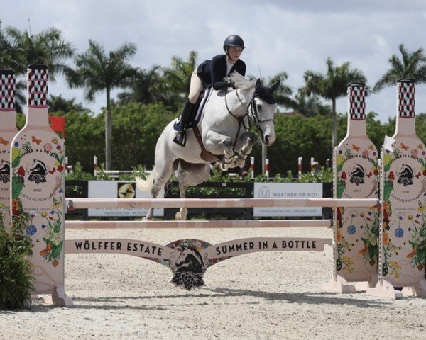 jumper Johannes 25 (KWPN (Royal Dutch Sporthorse), 2014, from Durango VDL)