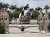jumper Johannes 25 (KWPN (Royal Dutch Sporthorse), 2014, from Durango VDL)