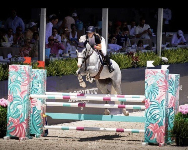 jumper Johannes 25 (KWPN (Royal Dutch Sporthorse), 2014, from Durango VDL)