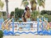 jumper Amazone Narko Z (Zangersheide riding horse, 2013, from Arko III)