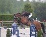 jumper Lennox van de Zeshoek (Belgian Warmblood, 2011, from Eldorado vd Zeshoek Tn)