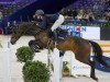 jumper Katy Rose (KWPN (Royal Dutch Sporthorse), 2015, from Numero Uno)