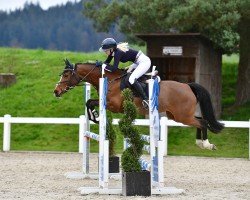 jumper Luna Cl (German Riding Pony, 2016, from Dimension AT NRW)