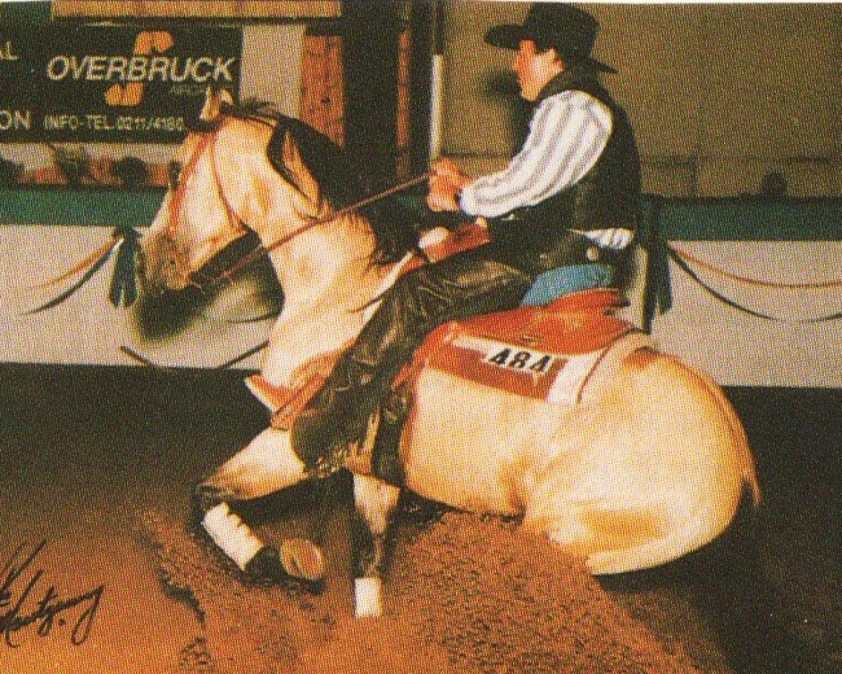 Deckhengst Kings Topaz Wolf (Quarter Horse, 1988, von Big China King)