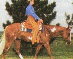 horse Zippin (Paint Horse, 1991, from Zippo Pine Bar)