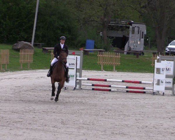 Reitturnier Pietzpuhl 2025