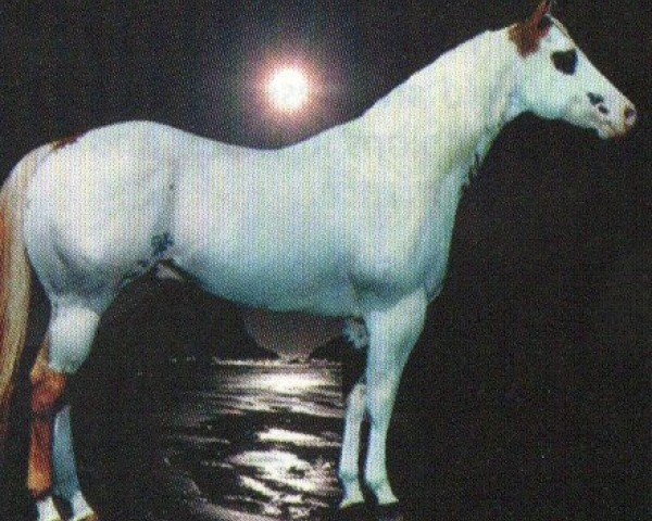 stallion Vr Master Bug (Paint Horse,  , from Mr. Robin Boy)