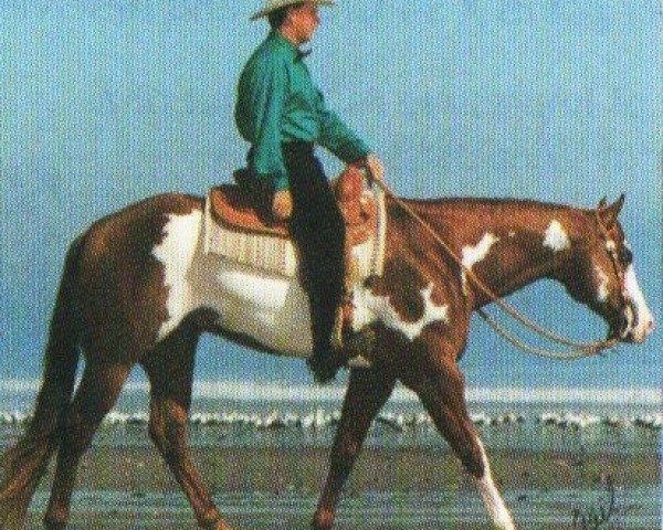 horse Chicago Red (Paint Horse, 1987, from Red Sonny Dee)