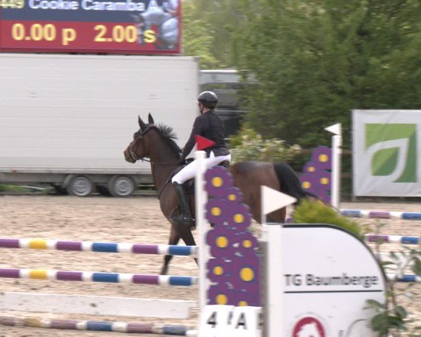 Reitturnier Nienberge 2025