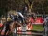 broodmare Maybe 104 (German Riding Pony, 2007, from Montreal)