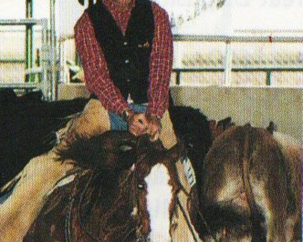 horse Teninas First (Paint Horse, 1994, from Smart Little Lena)