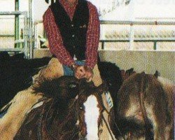 horse Teninas First (Paint Horse, 1994, from Smart Little Lena)
