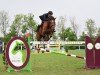 jumper Chaccolino (Hanoverian, 2013, from Chacco-Blue)