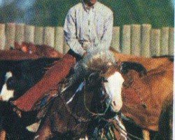 stallion Like A Diamond (Paint Horse, 1992, from Grays Starlight)