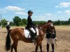 dressage horse Nando (German Warmblood,  )