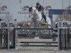 jumper Konstantino (KWPN (Royal Dutch Sporthorse), 2015)