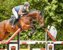 Springpferd Con Emil (Württemberger, 2013, von FBW Cayton)