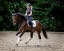 dressage horse Londontime's Look at me (Hanoverian, 2013, from Londontime)