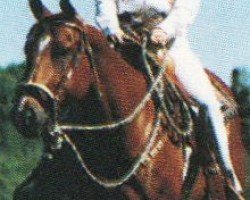 horse Mint Zippo (Quarter Horse, 1987, from Zippo Pine Bar)