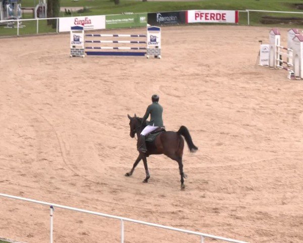 Internationales Springturnier Stadl-Paura 2025