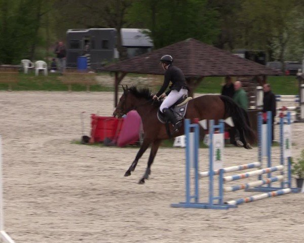 Reitturnier Pietzpuhl 2025