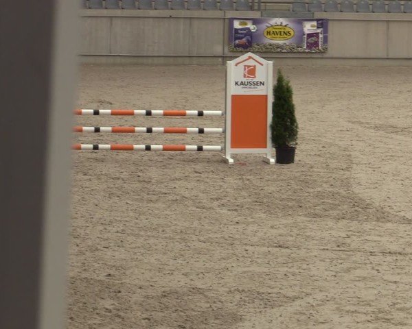 Reitturnier Aachen 2025