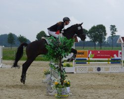 dressage horse Midnight Lady (New Forest Pony, 2005, from Monaco)