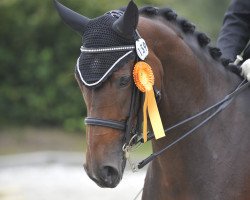 dressage horse Fabella B (Rhinelander, 2002, from Fidermark)