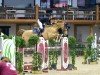 jumper Celine RZH (Oldenburg show jumper, 2018, from Conthargos)