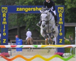 jumper Cornetta Ses Z (Zangersheide riding horse, 2017, from Cornet Obolensky)