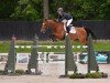 jumper Espace Killy (KWPN (Royal Dutch Sporthorse), 2009, from V.Alba R)