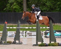 jumper Espace Killy (KWPN (Royal Dutch Sporthorse), 2009, from V.Alba R)