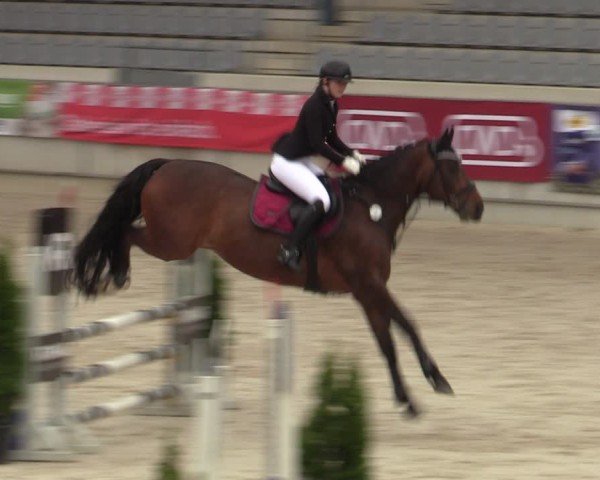 Reitturnier Aachen 2025
