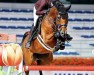 jumper Inajottie VDM (KWPN (Royal Dutch Sporthorse), 2013, from Carrera VDL)