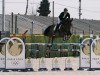 jumper Quintus-L (Belgian Warmblood, 2016, from Nabab de Rêve)
