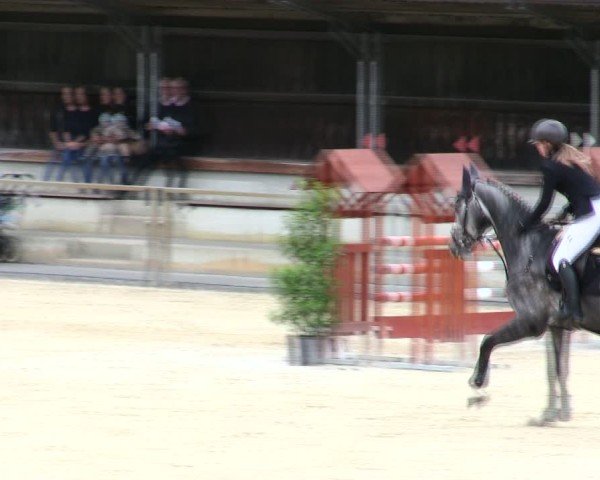 Reitturnier Ingolstadt-Hagau/Obb. 2025