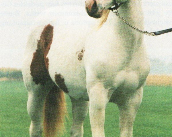 Pferd Toys Dee Bar (Paint Horse, 1995, von Hesa Fancy Toy)