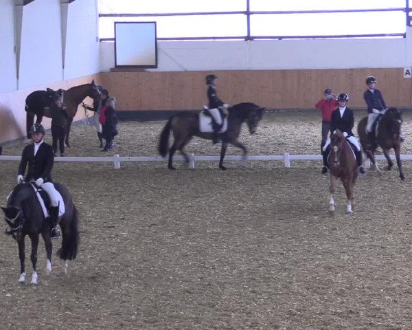 Reitturnier Datteln 2021
