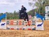 broodmare Check it out 11 (Hanoverian, 2020, from K.i Checkter)