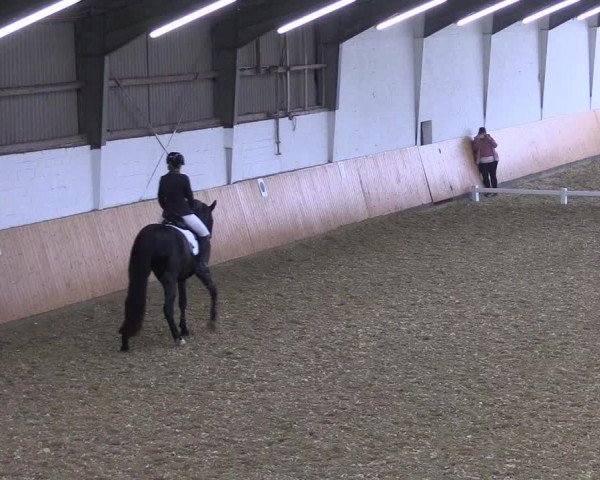 Reitturnier Datteln 2021