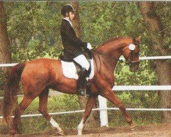 horse Alisa 39 (Oldenburg, 2003, from Rhodes Scholar)
