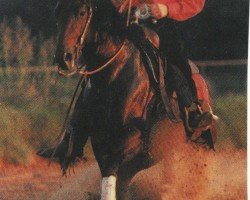 Deckhengst Epitome Olena (Quarter Horse, 1993, von Doc OLena)