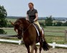 dressage horse Rock it Diamond (Hanoverian, 2010, from Rohdiamant)