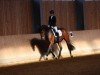Zuchtstute First Lady 321 (Hannoveraner, 2017, von For Romance I)