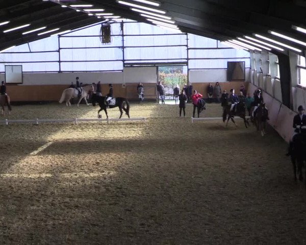 Reitturnier Datteln 2021