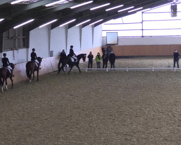 Reitturnier Datteln 2021