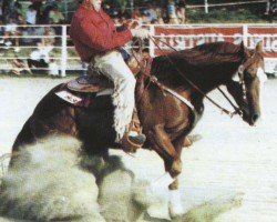 Pferd Freckles Chic Olena (Quarter Horse, 1994, von Smart Chic Olena)