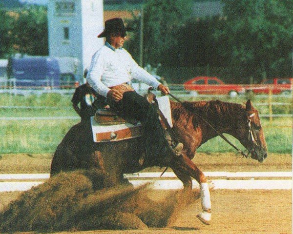 horse Smart Little Pepito (Quarter Horse, 1994, from Smart Little Lena)